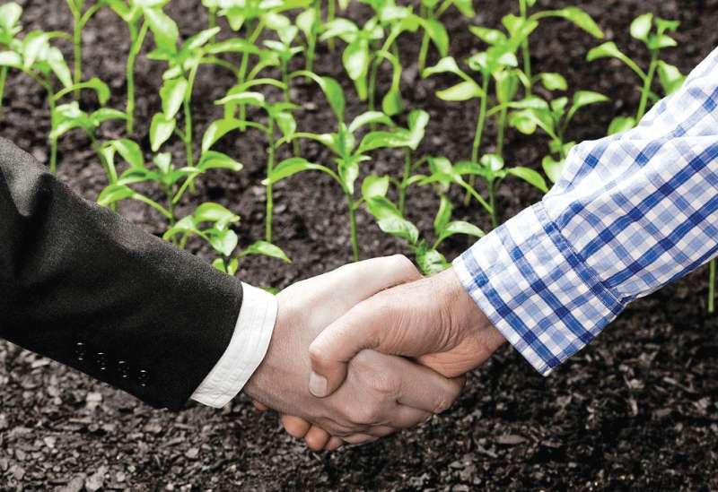 Top Contract Farming Companies in India: A 2025 List with Contact Details